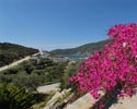 Hôtel Ostria studios à Sifnos - Photos des espaces extérieures de l’unité