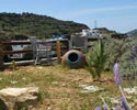 Hôtel Ostria studios à Sifnos - Photos des espaces extérieures de l’unité